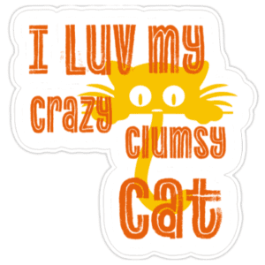 A sticker of an orange cat with the words " i luv my crazy clumsy cat ".