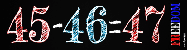 47 is Freedom bumper sticker